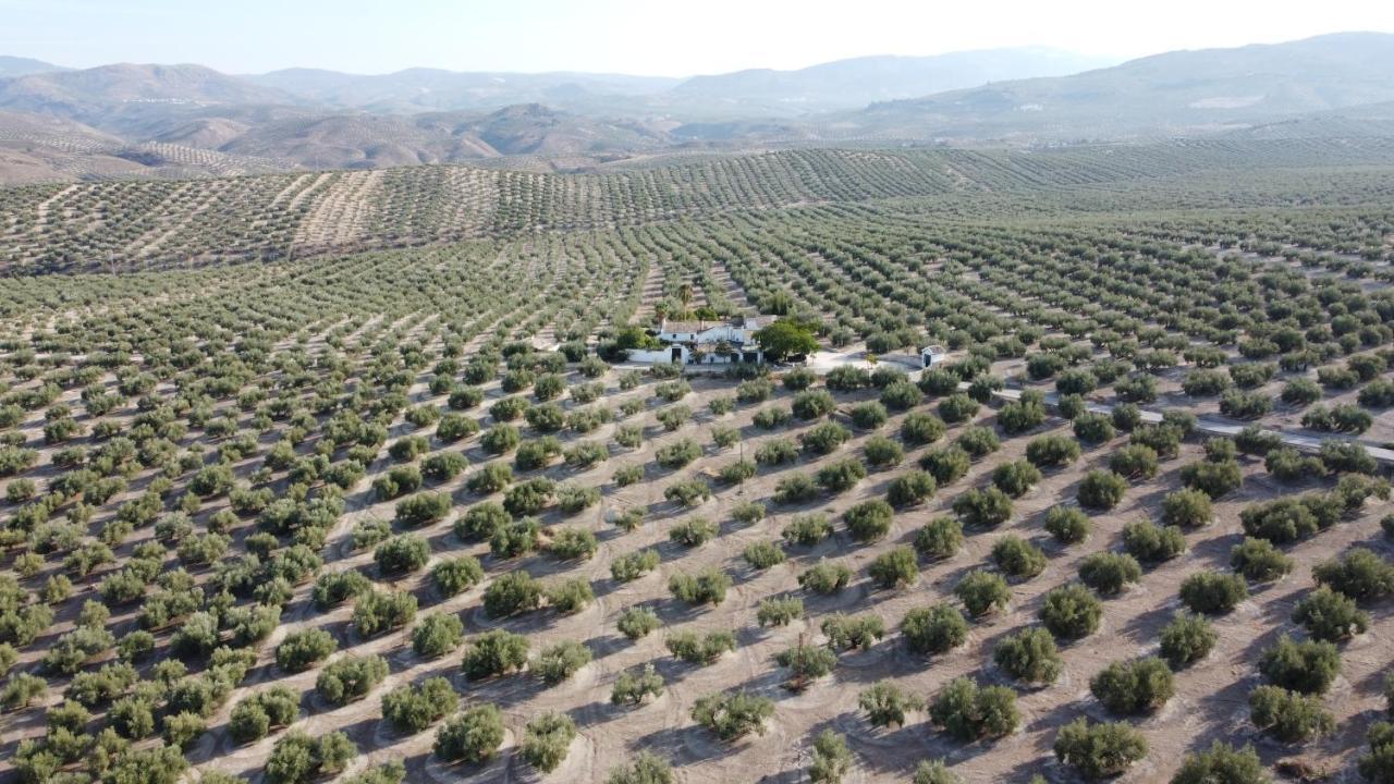 Casa De Familia Cortijo La Cubertilla Фуэнте-Тохар Экстерьер фото
